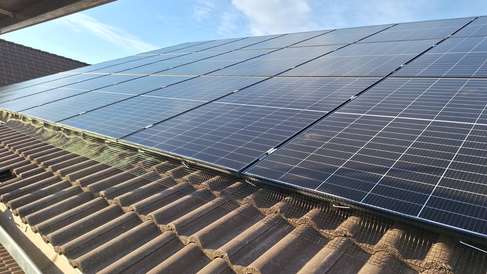 WhatsApp Image 2026-02-05 at 16.30.11.jpeg